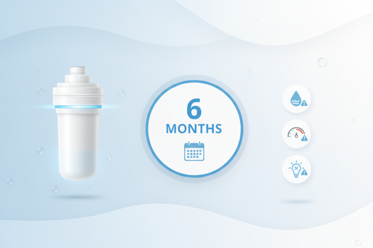Refrigerator water filter 6-month replacement schedule infographic with warning signs