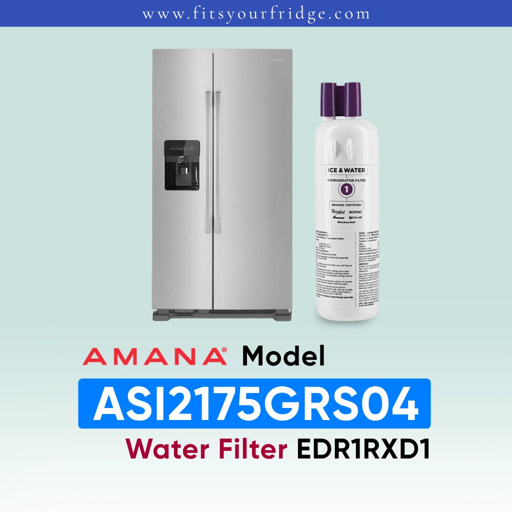 A stainless steel side-by-side refrigerator shown next to a white Amana water filter bottle with purple caps, on a pale blue gradient background with text reading 'AMANA Model ASI2175GRS00 Water Filter EDR1RXD1'.