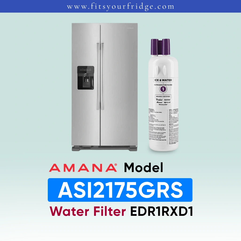 A stainless steel side-by-side refrigerator shown next to a white water filter bottle with purple caps. The image includes branding and model text: 'AMANA Model', 'ASI2175GRS', and 'Water Filter EDR1RXD1' on a pale blue gradient background with a blue header reading 'www.