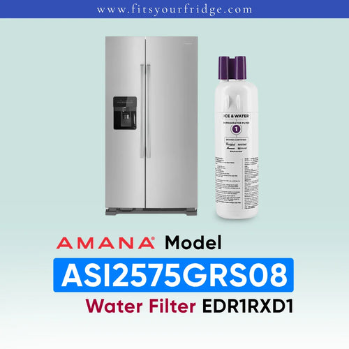 Amana Model ASI2575GRS08 water filter cartridge shown next to a stainless steel side-by-side refrigerator on a light blue gradient background, with the text 'AMANA Model ASI2575GRS08 Water Filter EDR1RXD1' below.